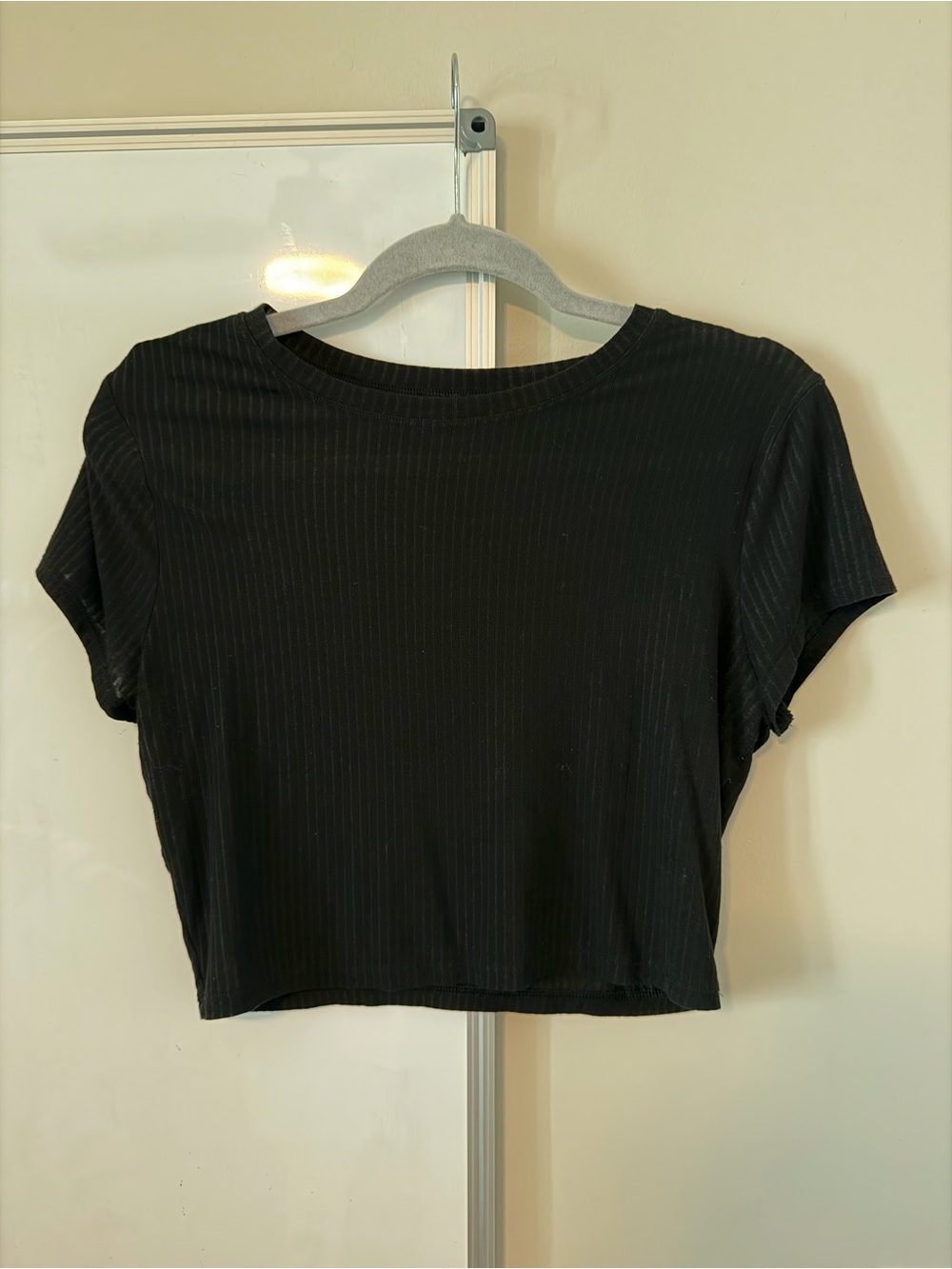 ALO ribbed SeaCoast Crop Tee